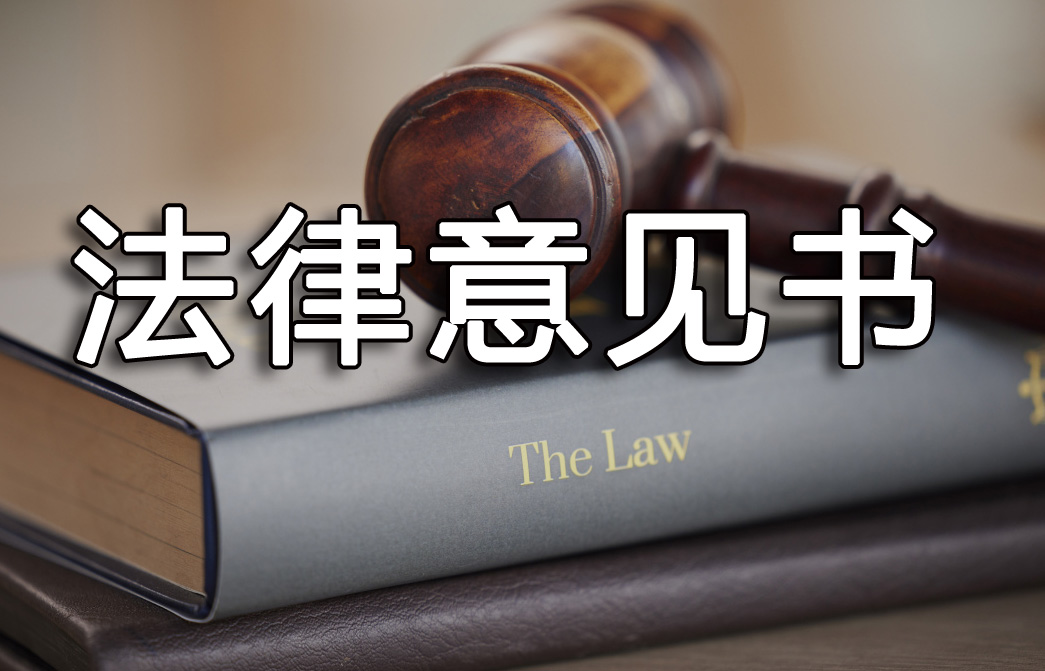 法律意見書是什么