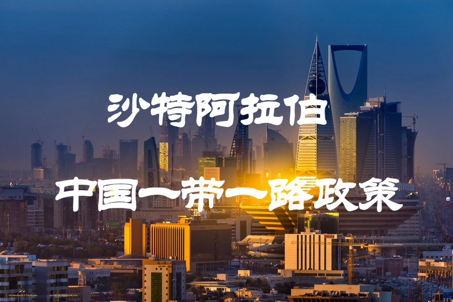 沙特阿拉伯投資政策