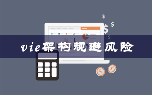 vie架構規(guī)避風險